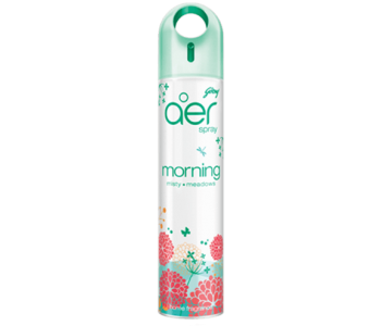 GODREJ AER ROOM FRESHENER SPRAY MORNING 